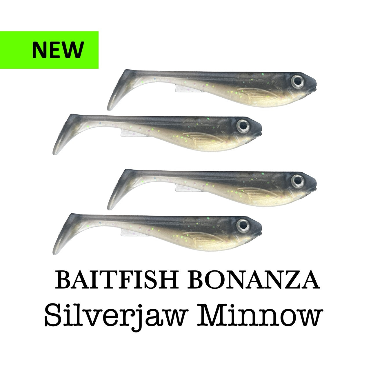 Silverjaw_minnow_-_stor.jpg