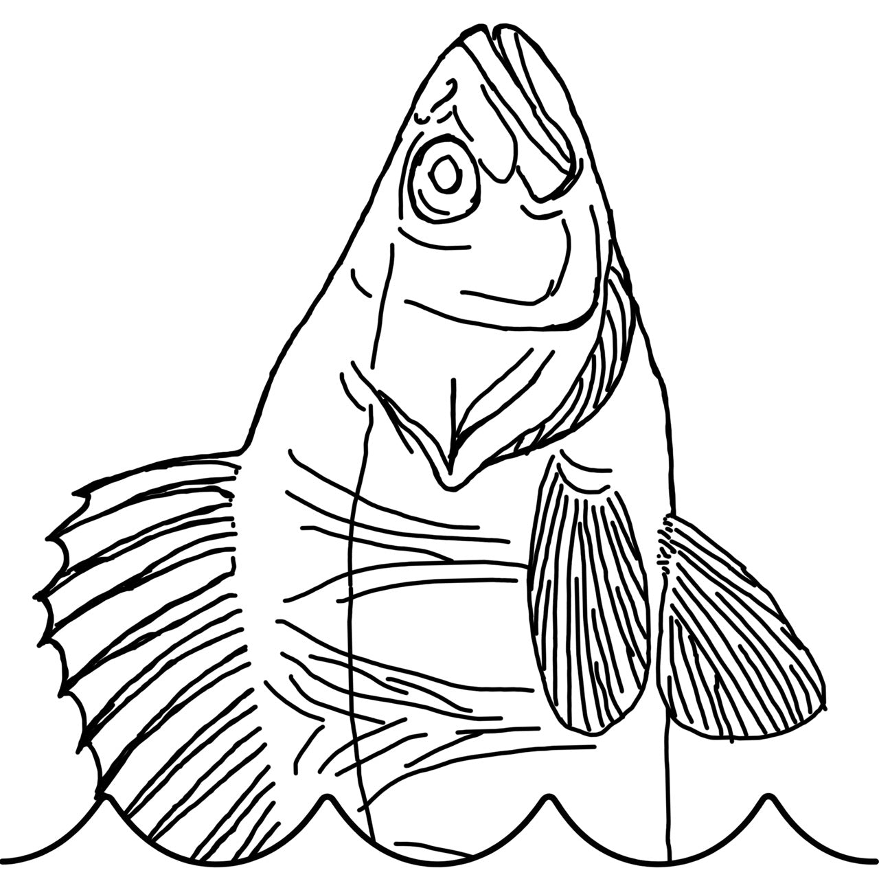 abborre_collection_-_stor.jpg