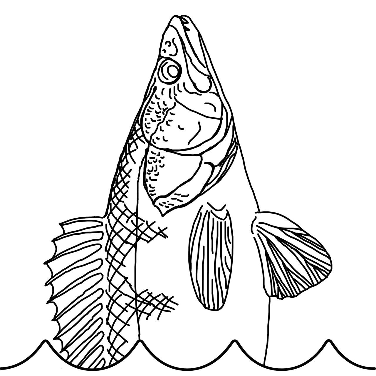 gos_collection_-_stor_2.jpg